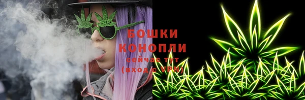 сатива Гусиноозёрск