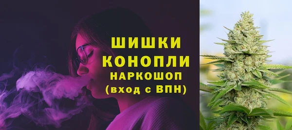 амф Гусь-Хрустальный