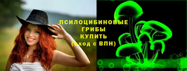 дурь Дмитров