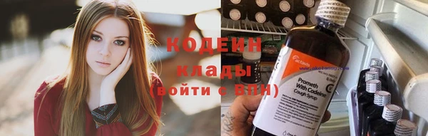 МДПВ Гусев