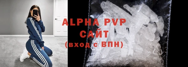 амф Гусь-Хрустальный
