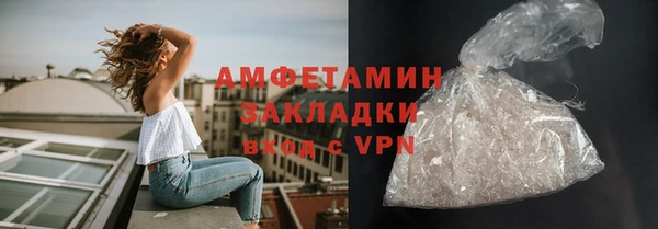 амф Гусь-Хрустальный