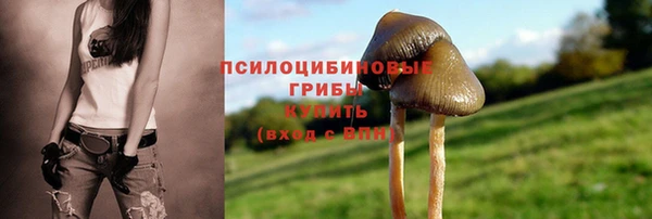 сатива Гусиноозёрск