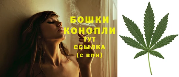 МДПВ Гусев