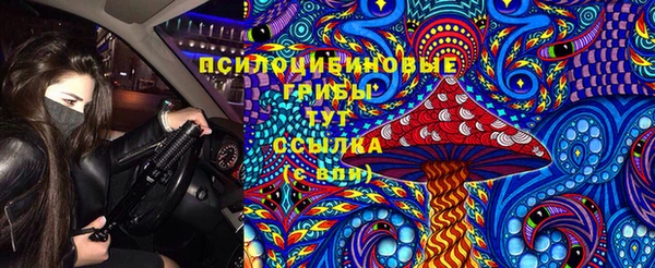 сатива Гусиноозёрск