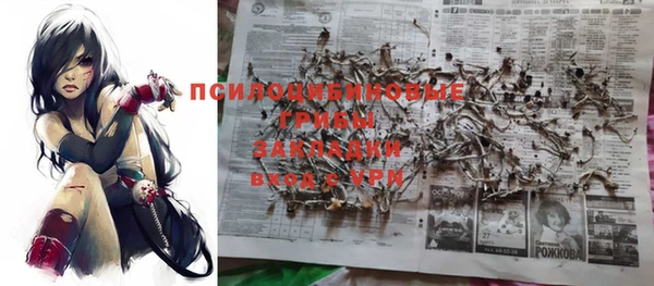 сатива Гусиноозёрск