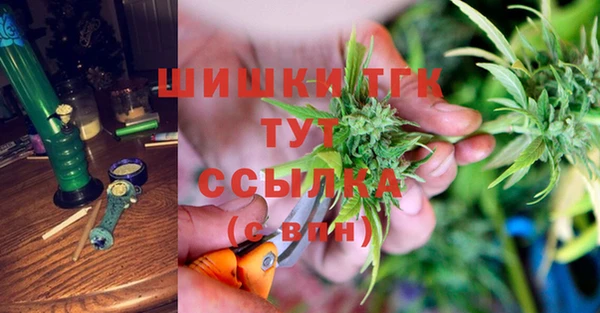 МДПВ Гусев