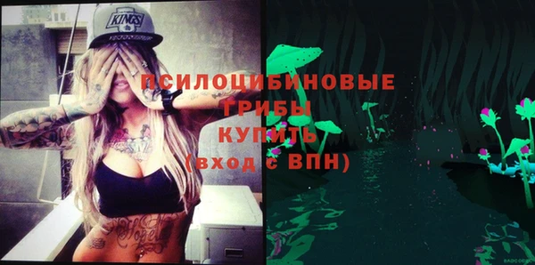 сатива Гусиноозёрск