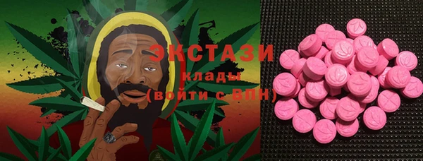 МДПВ Гусев