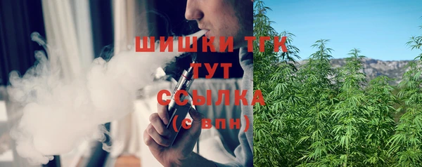 амф Гусь-Хрустальный