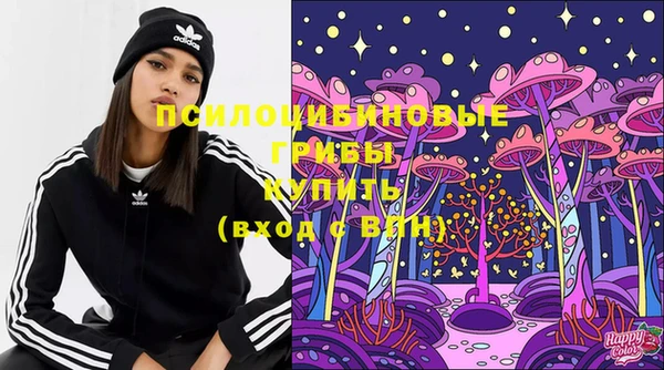МДПВ Гусев